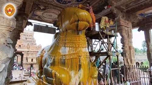 தஞ்சாவூர் பெரியகோவில் பெருநந்திக்கு 12 வகை திரவியங்களால் சிறப்பு அபிஷேகம்