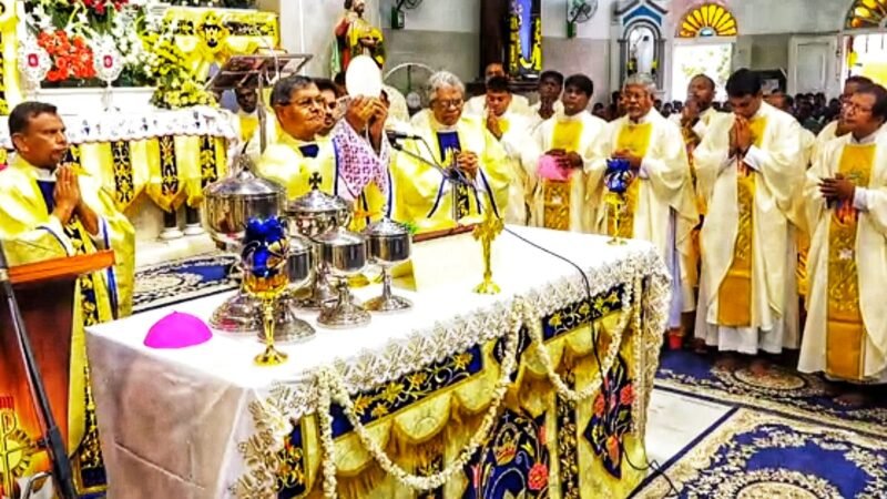 தூத்துக்குடி பனிமயமாதா பேராலய திருவிழா: பல்லாயிரக்கணக்கான பக்தர்கள் சிறப்பு திருப்பலியில் பங்கேற்பு