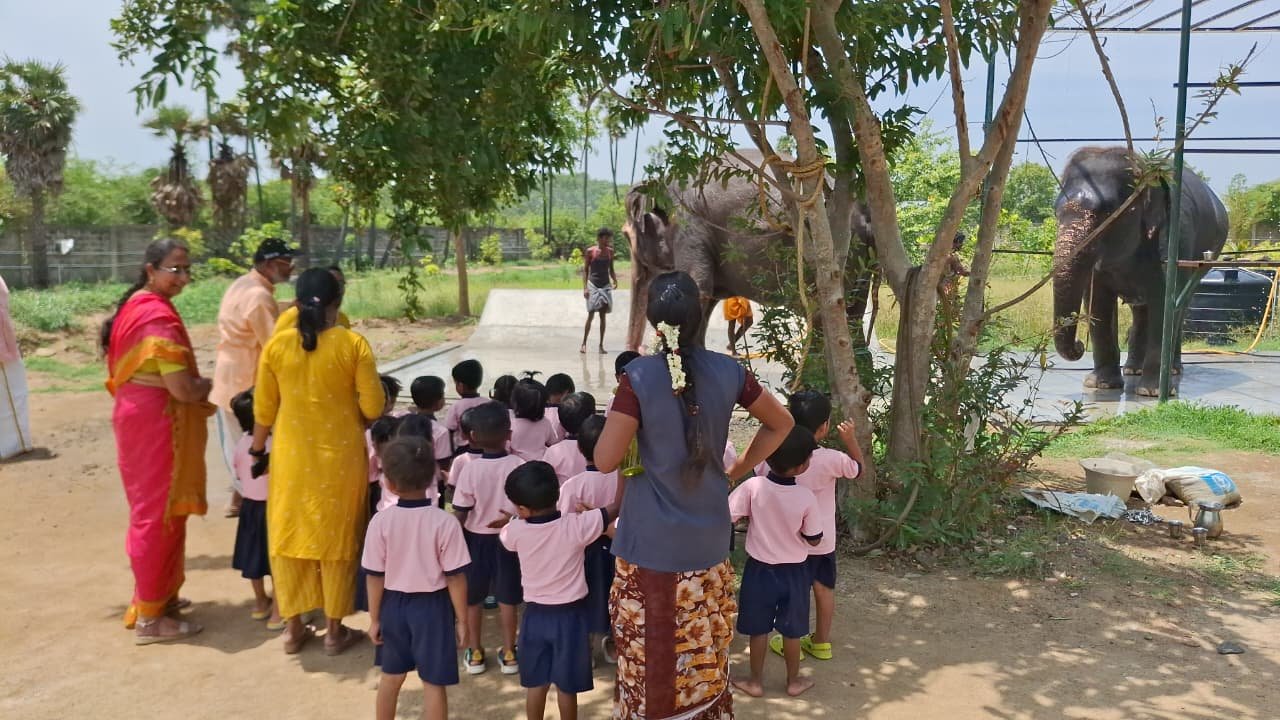 காஞ்சிபுரத்தில் உலக யானைகள் தினம் | கஜசாலையில் யானைகளை கண்டு மகிழ்ந்த 100-க்கும் மேற்பட்ட மாணவர்கள்