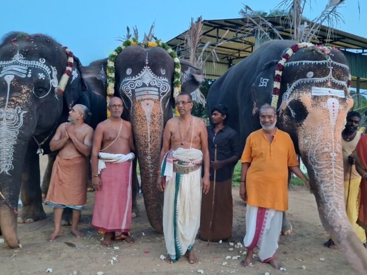 ஏனாத்தூர் யானைகள் பராமரிப்பு மையத்தில் விநாயகர் சதுர்த்தி விழா