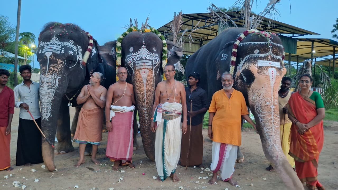 ஏனாத்தூர் யானைகள் பராமரிப்பு மையத்தில் விநாயகர் சதுர்த்தி விழா